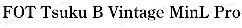 FOT Tsuku B Vintage MinL Pro字体转换
